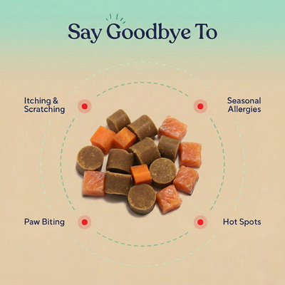 Allergy & Immune Support Chews - Anti-Itch, Skin and Seasonal Relief for Dogs