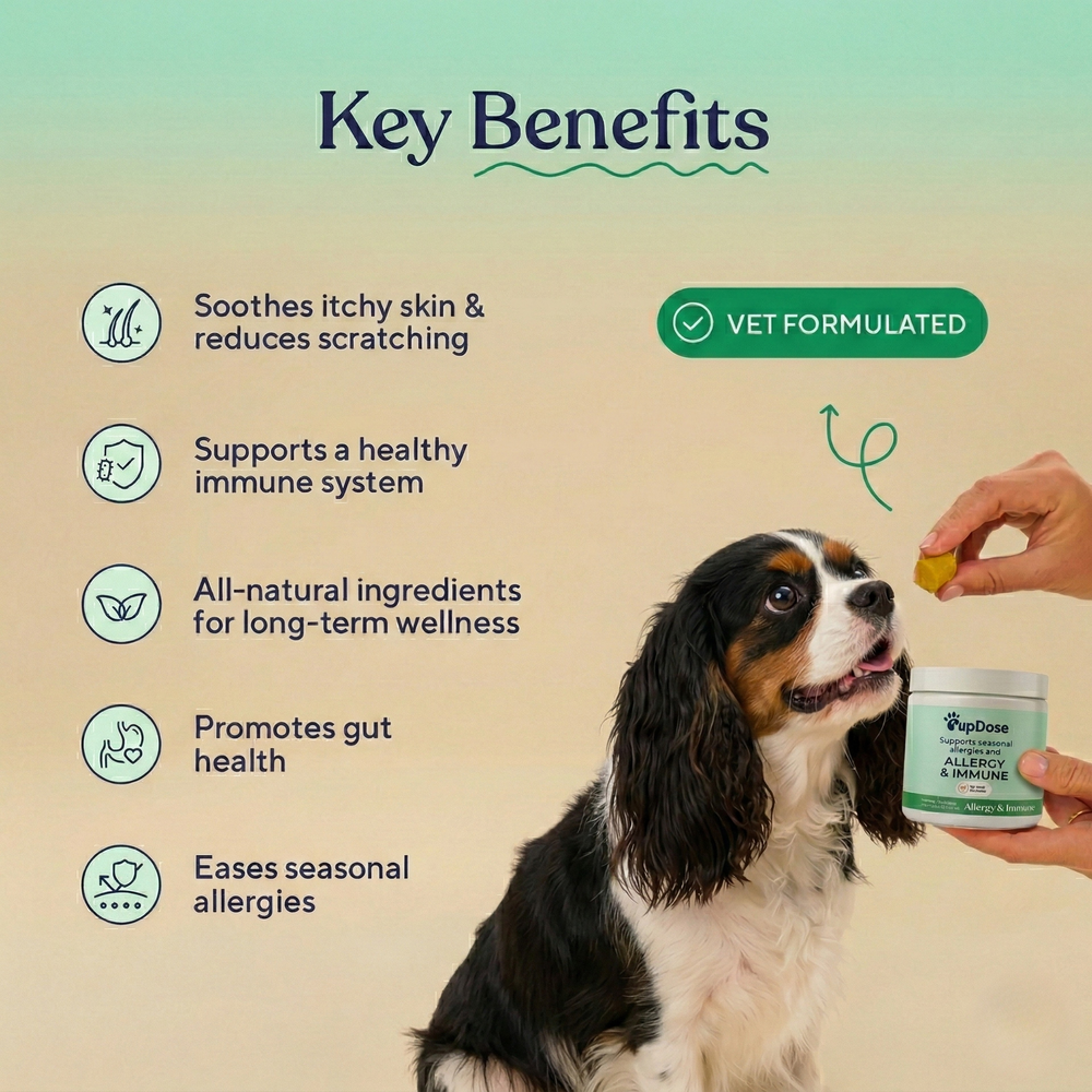Not just "fresh breath" — it's real oral health